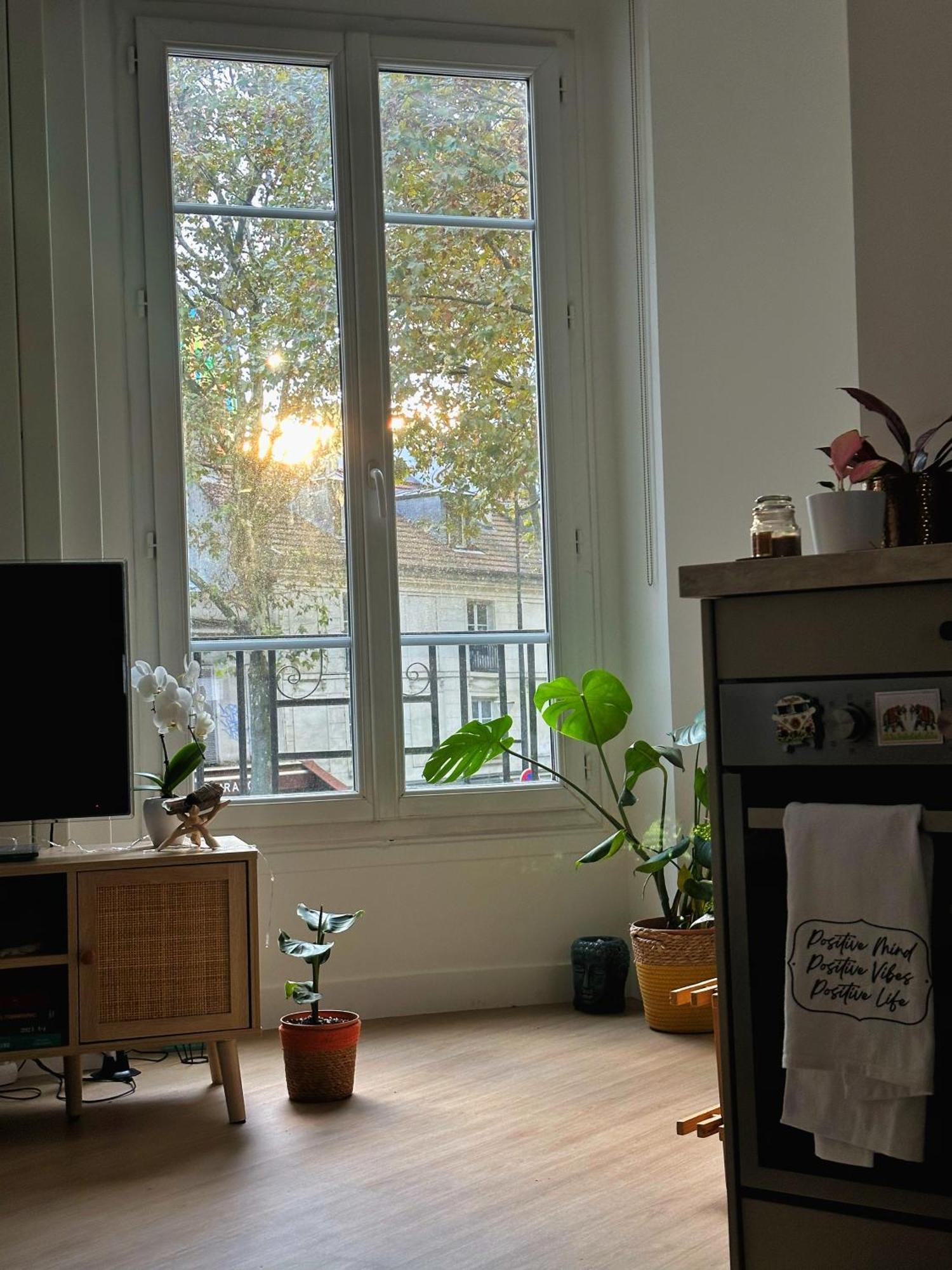 Appartement Calme Et Cozy En Plein Parijs